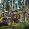 Buffalo forwarder