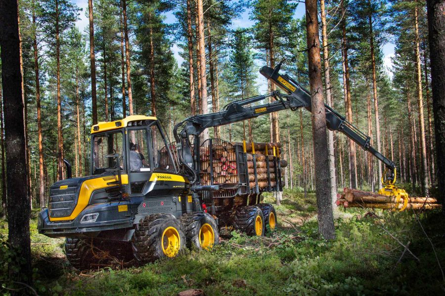 Buffalo forwarder