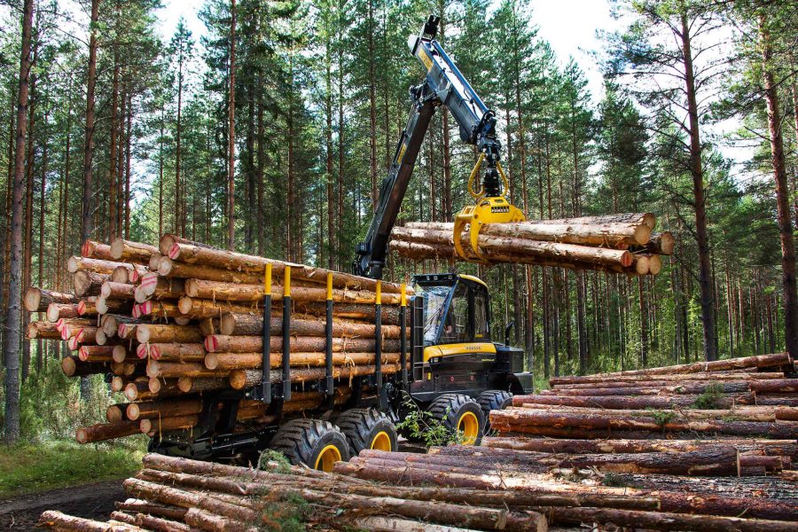 Buffalo forwarder