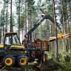Buffalo forwarder