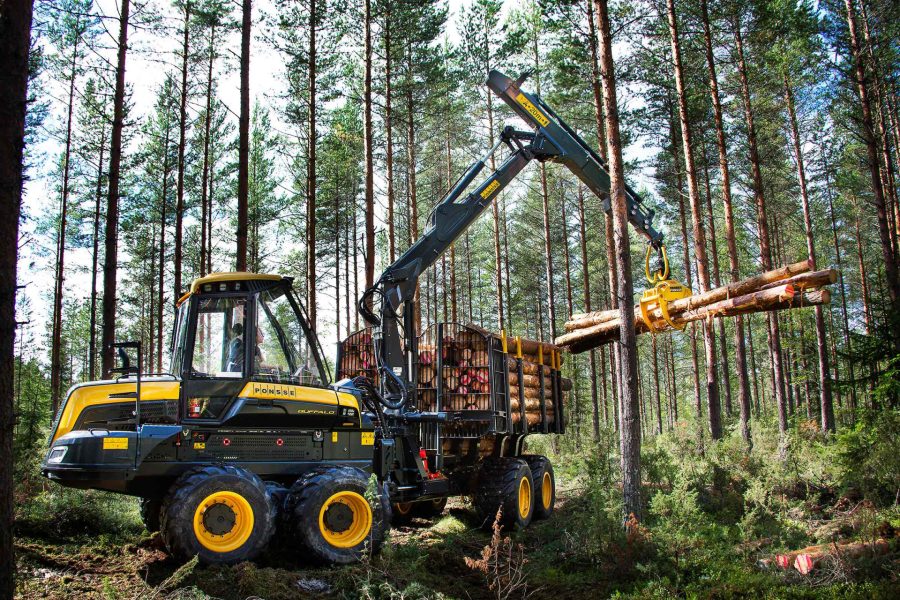 Buffalo forwarder