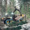 Bison forwarder