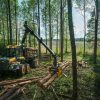 Elk forwarder