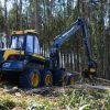 Ergo forwarder