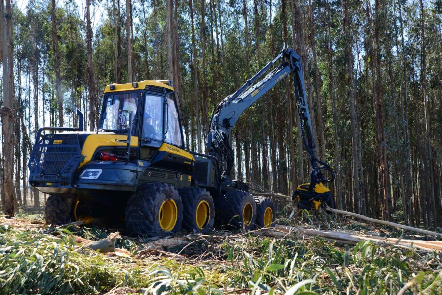 Ergo forwarder