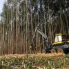 Ergo forwarder