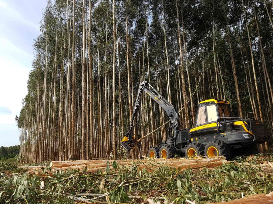 Ergo forwarder