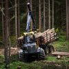 Mammoth forwarder