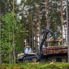 Mammoth forwarder