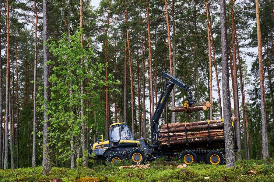 Mammoth forwarder